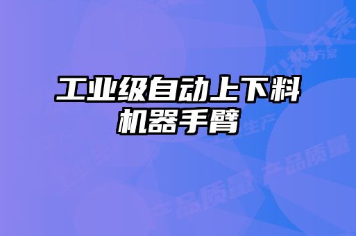 工業(yè)級自動上下料機器手臂
