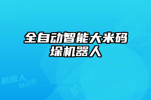 全自動智能大米碼垛機(jī)器人