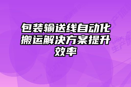 包裝輸送線自動(dòng)化搬運(yùn)解決方案提升效率