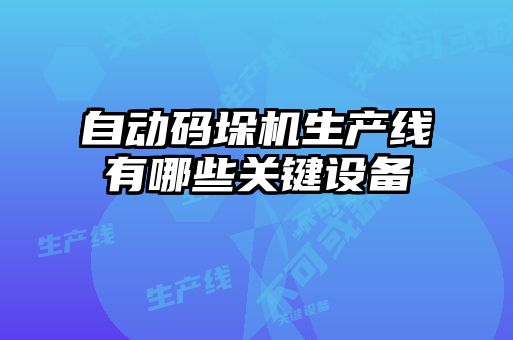 自動碼垛機生產(chǎn)線有哪些關(guān)鍵設(shè)備