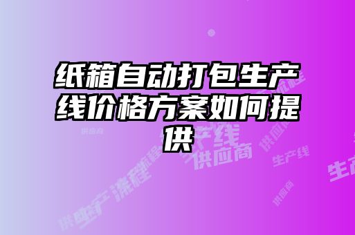 紙箱自動打包生產(chǎn)線價(jià)格方案如何提供