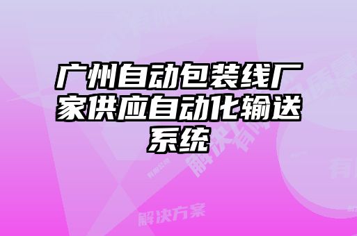 廣州自動包裝線廠家供應(yīng)自動化輸送系統(tǒng)