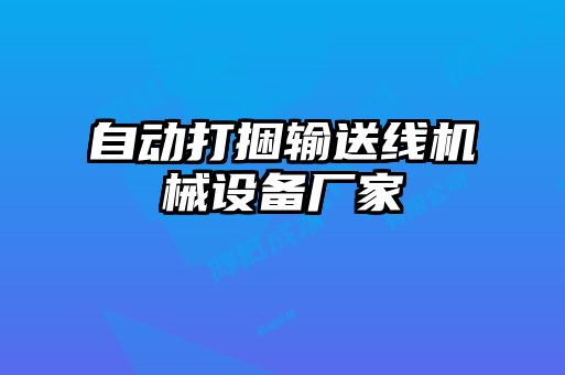 自動(dòng)打捆輸送線(xiàn)機(jī)械設(shè)備廠(chǎng)家