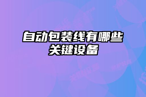 自動(dòng)包裝線(xiàn)有哪些關(guān)鍵設(shè)備