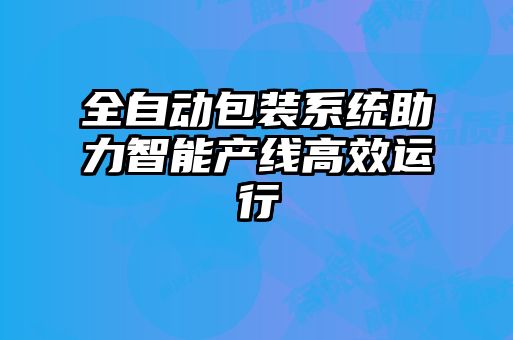 全自動包裝系統(tǒng)助力智能產(chǎn)線高效運行