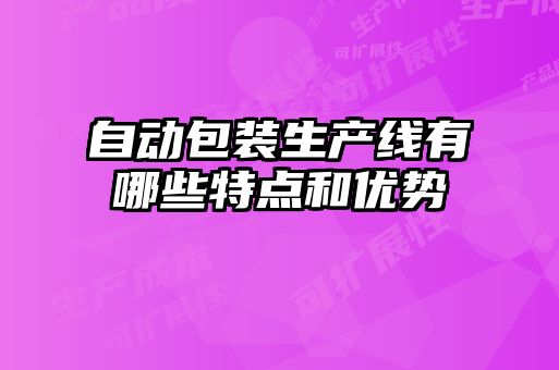 自動包裝生產(chǎn)線有哪些特點和優(yōu)勢