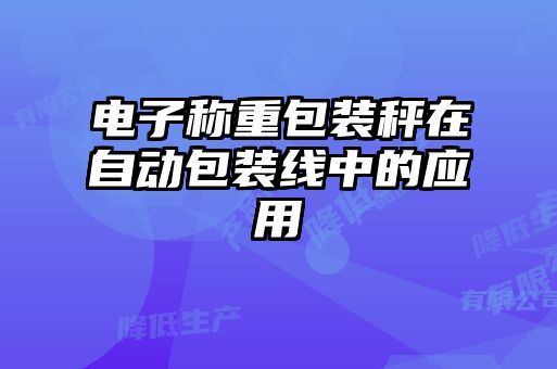 電子稱重包裝秤在自動包裝線中的應(yīng)用