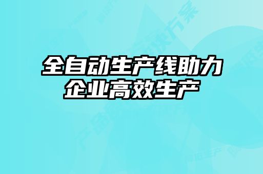 全自動(dòng)生產(chǎn)線(xiàn)助力企業(yè)高效生產(chǎn)