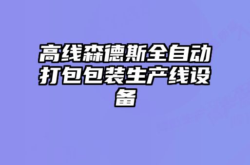 高線(xiàn)森德斯全自動(dòng)打包包裝生產(chǎn)線(xiàn)設(shè)備