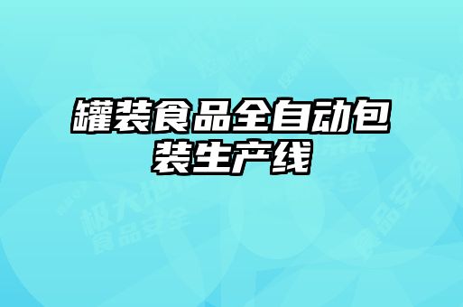 罐裝食品全自動包裝生產線