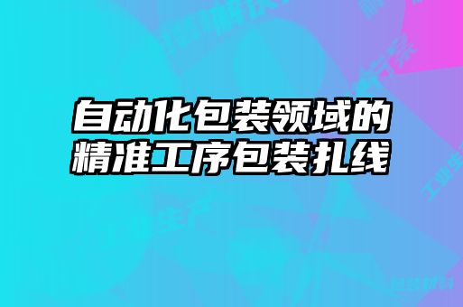 自動化包裝領(lǐng)域的精準工序包裝扎線